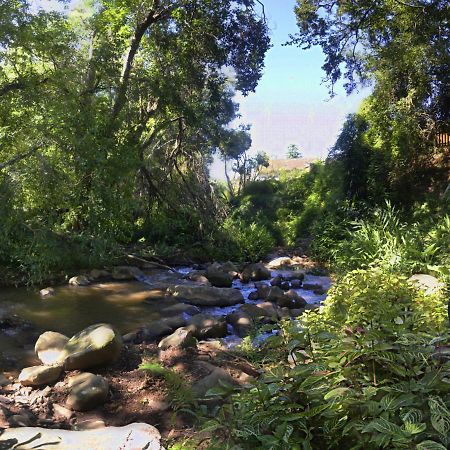 Brevisbrook B&B Pietermaritzburg Exterior foto